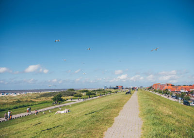DSC_1161